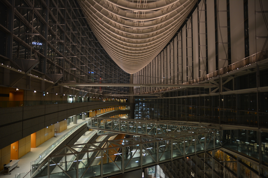 夜の東京国際フォーラム