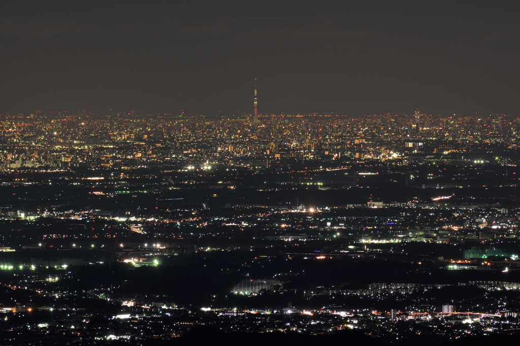 関八州見晴台からの夜景