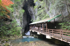秋芳洞