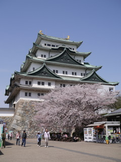 名古屋城と桜