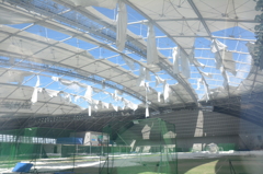 大雪で天井崩落したくまがやドーム