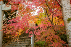 晩秋の秋月