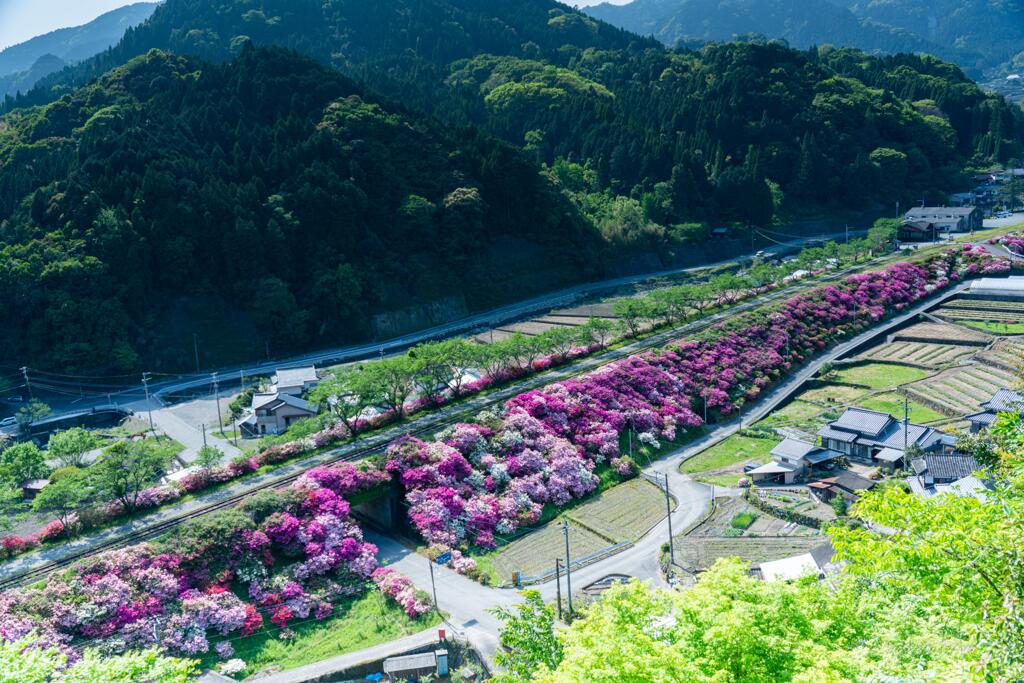 筑前岩屋駅　周辺