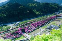 筑前岩屋駅　周辺