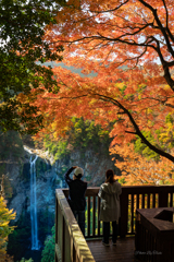 宇佐市　福貴野の滝の紅葉