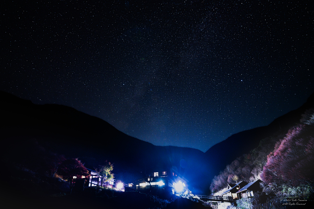 坊ガツルの夜は更けて