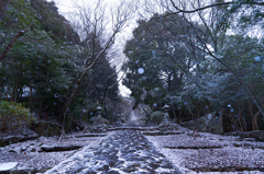 鋼の鳥居より奉幣殿へ参る参道を行く