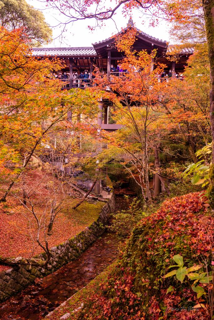 京都に行ってきた（1St　京都紅葉）