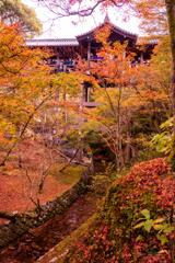 京都に行ってきた（1St　京都紅葉）
