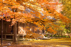 大分　晩秋の富貴寺　