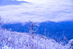 冬期の阿蘇大観峰　朝日を浴びて、雪と樹氷
