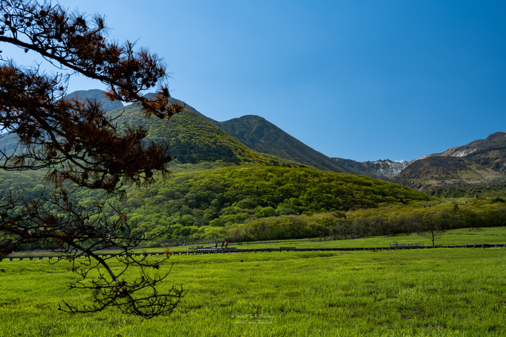 タデ原湿原