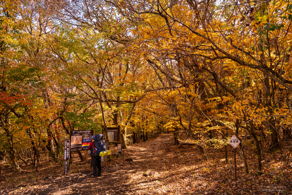 長者原登山道　入口