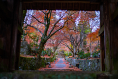 山門からの景色