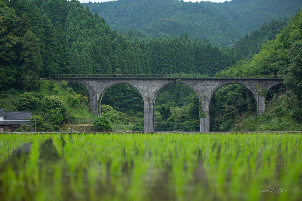 筑前岩屋　田植えも終了（過去の遺産）