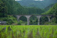 筑前岩屋　田植えも終了（過去の遺産）