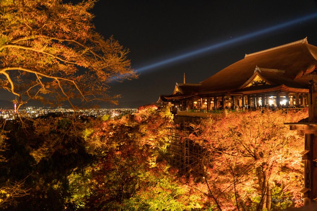 京都に行ってきた（1St　京都紅葉）