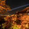京都に行ってきた（1St　京都紅葉）