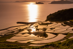 土谷の棚田