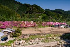 筑前岩屋駅　周辺