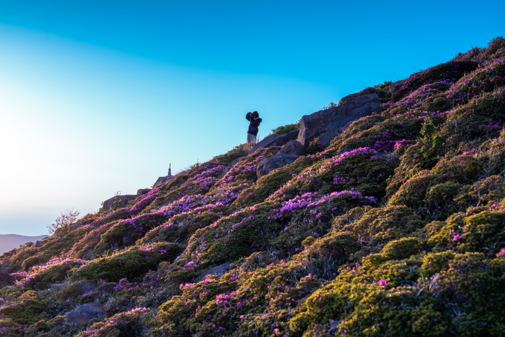 星生山の名カメラマン