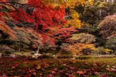 京都に行ってきた（1St　京都紅葉）
