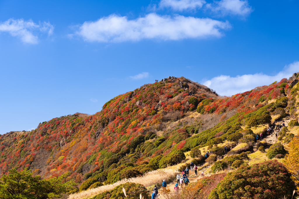 紅葉最盛期の沓掛山