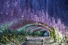 来年のための忘備録として