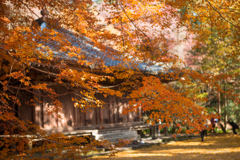 大分　富貴寺の晩秋　2017/11/25