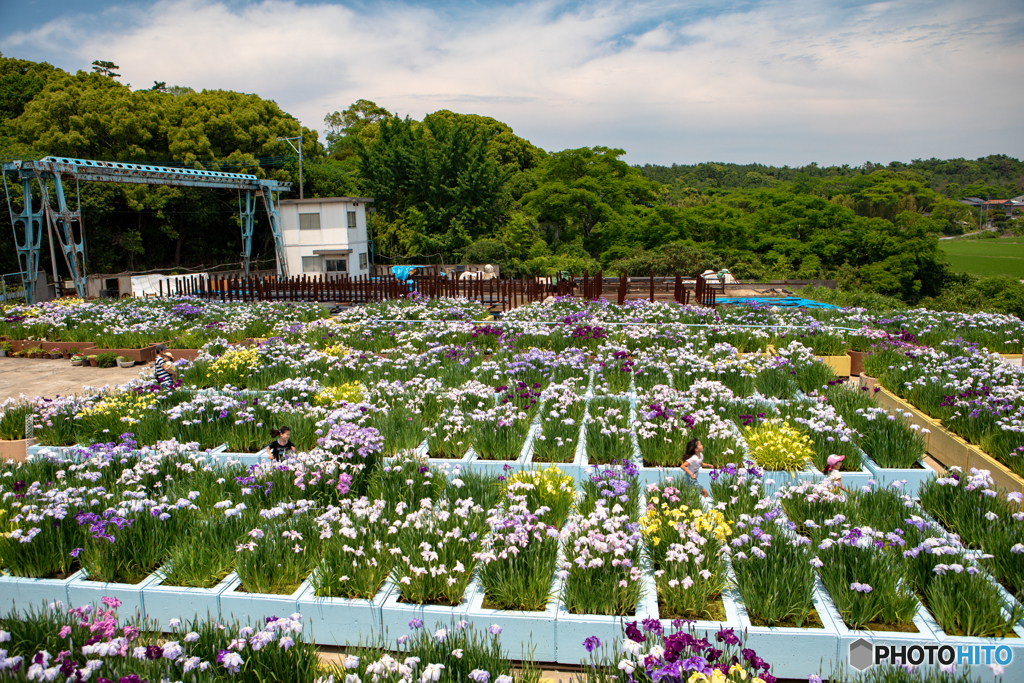 遠賀郡岡垣　西山工務店　菖蒲園　全容