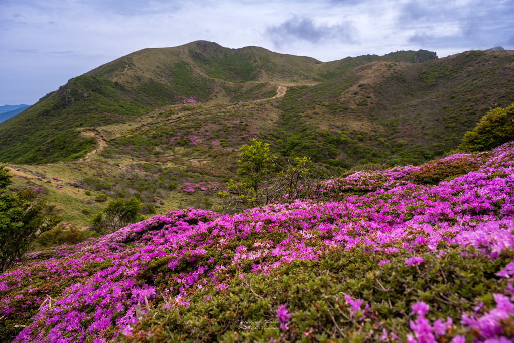 くじゅう連山　星生山