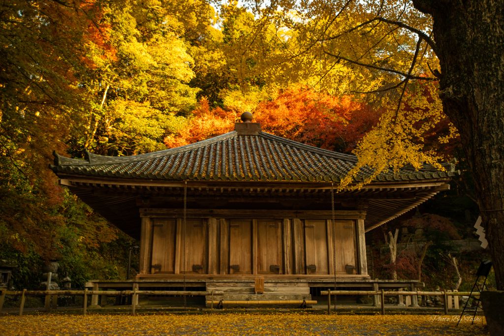 富貴寺　定番位置