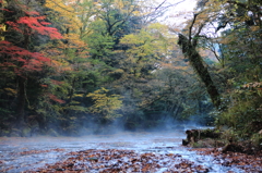 菊池の朝
