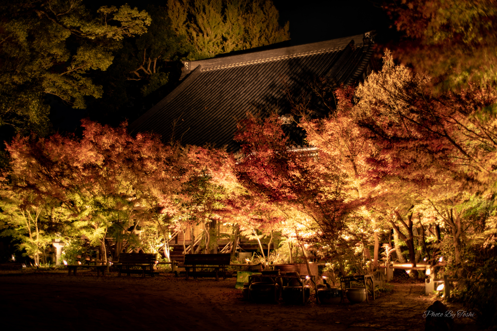 直方　光福寺　ライトアップ本堂