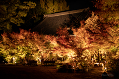 直方　光福寺　ライトアップ本堂