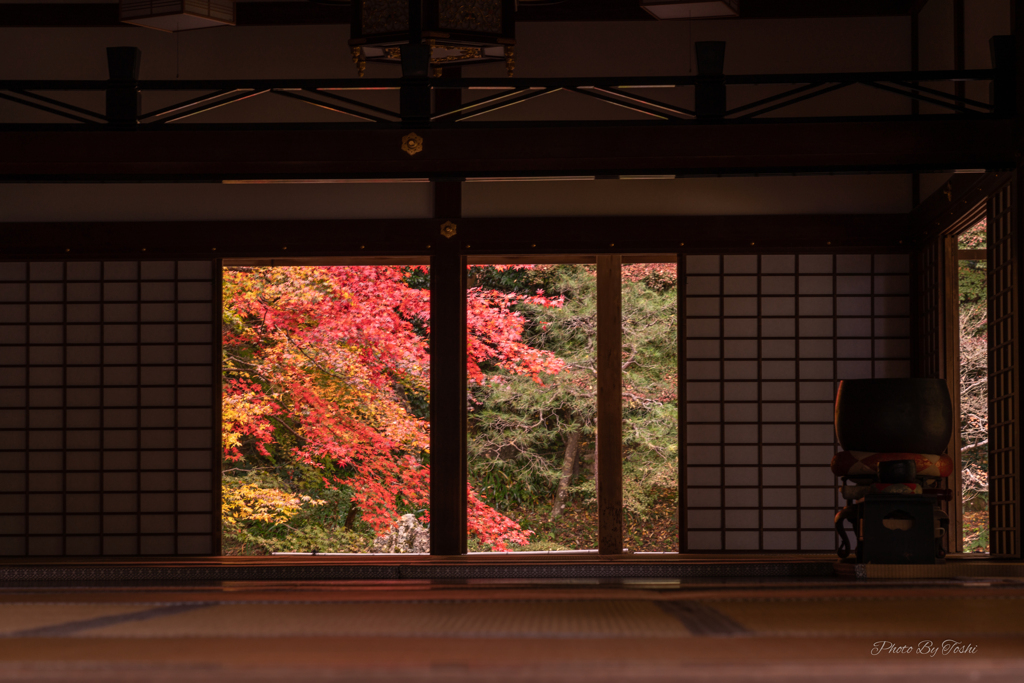 京都に行ってきた（1St　京都紅葉）