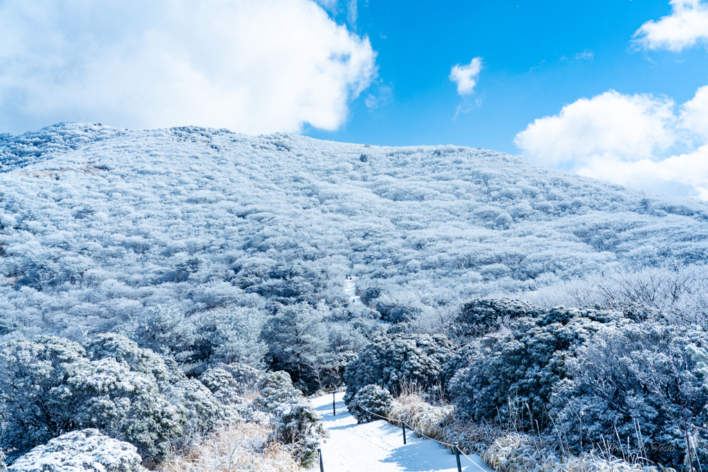 牧ノ戸登山口　ようやく晴れ間が出てきた