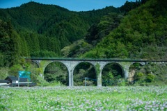 主が代わって通ってくれるのか？