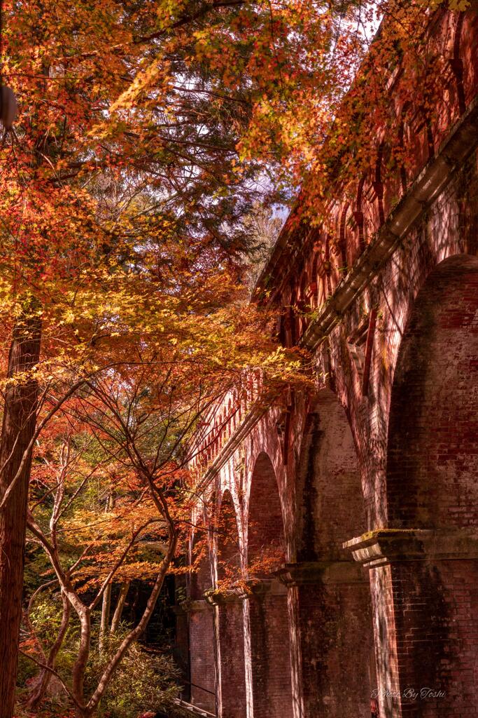 京都に行ってきた（1St　京都紅葉）