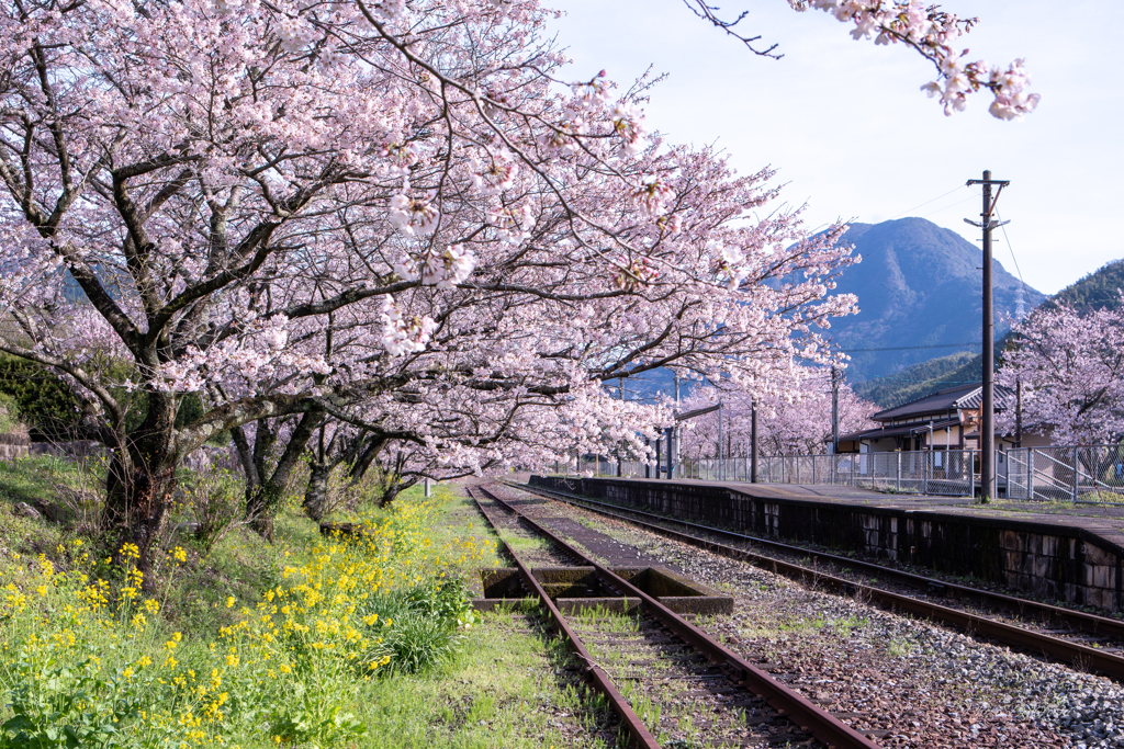 日田彦山線　採銅所駅