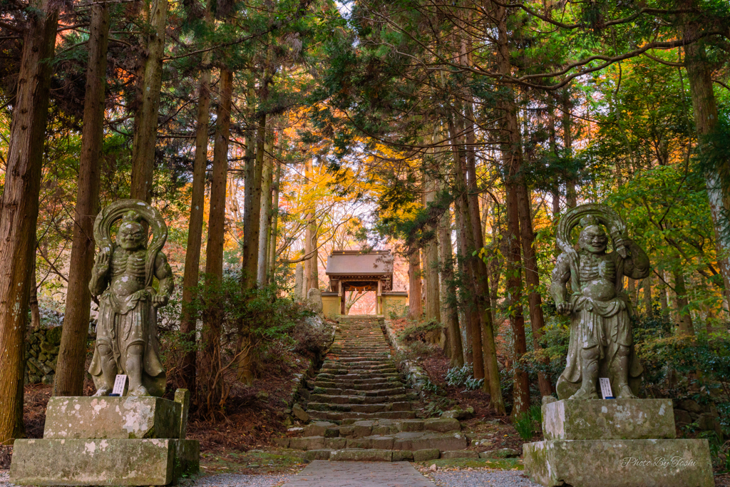 あうんの呼吸