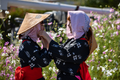 大分県豊後高田市　田染荘　収穫祭