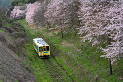 平成筑豊鉄道　”ちくまるくん”