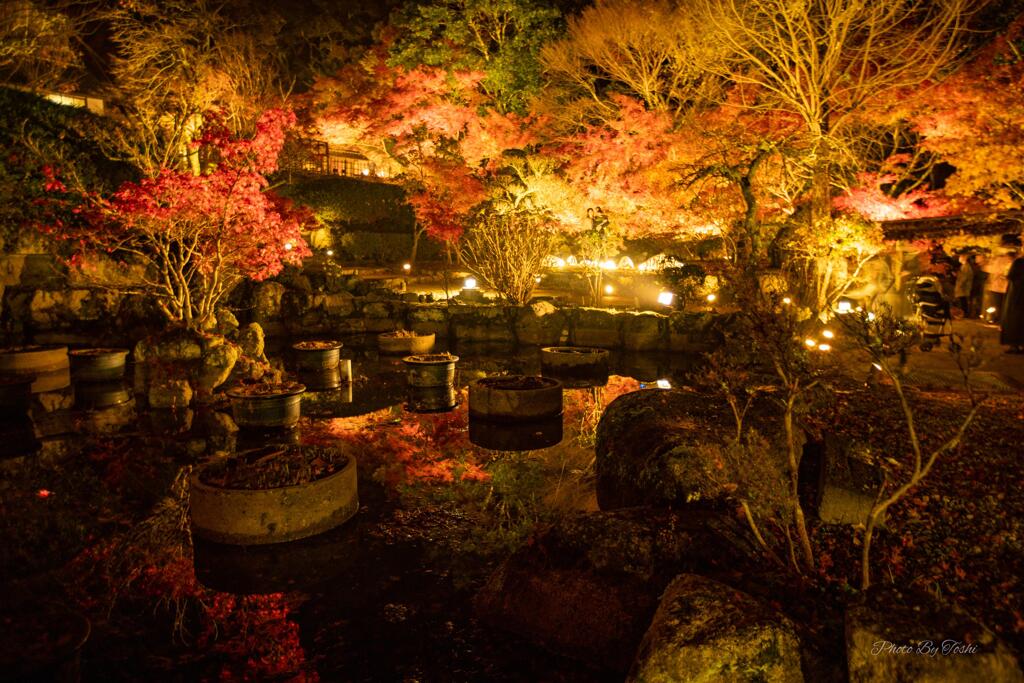 田川市　藤江氏魚楽園-2