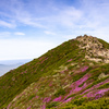 久住山　山頂