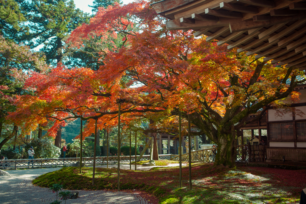 福岡県　糸島　雷山千如寺大悲王院　2017/11/12