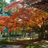 福岡県　糸島　雷山千如寺大悲王院　2017/11/12