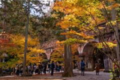 京都に行ってきた（1St　京都紅葉）