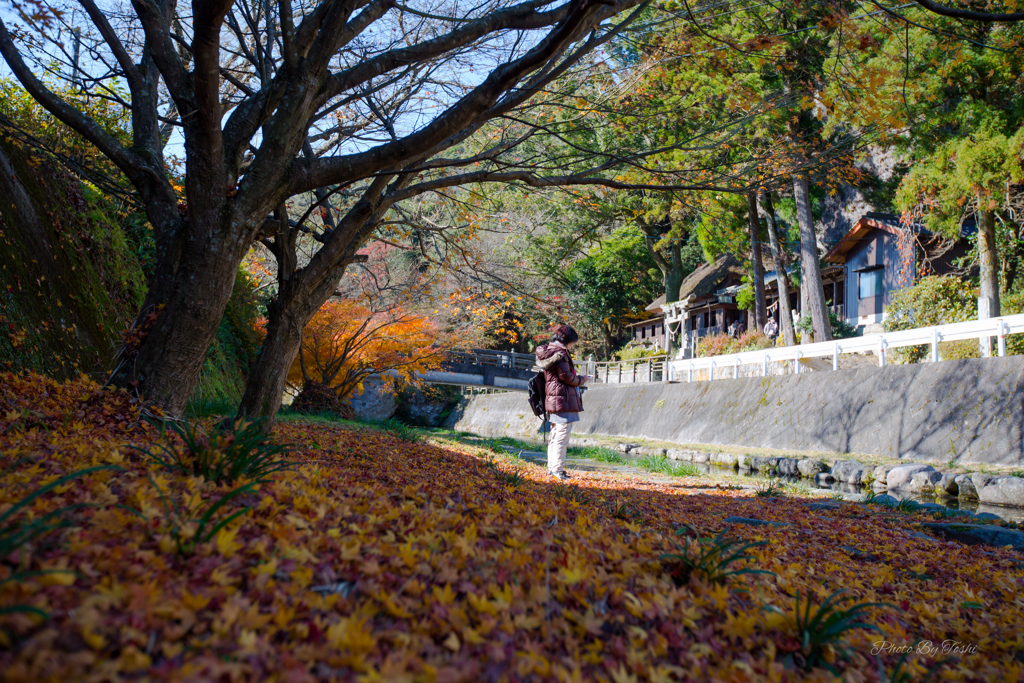 大分　天念寺を川茂から見る