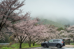 愛車が埋まる？